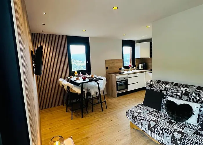 Apartamento Au Coeur De Lou - 4 Pers Snowfront *